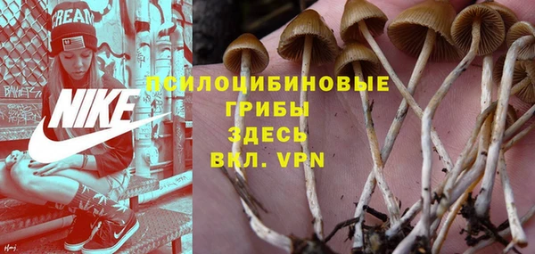ПСИЛОЦИБИНОВЫЕ ГРИБЫ Балахна