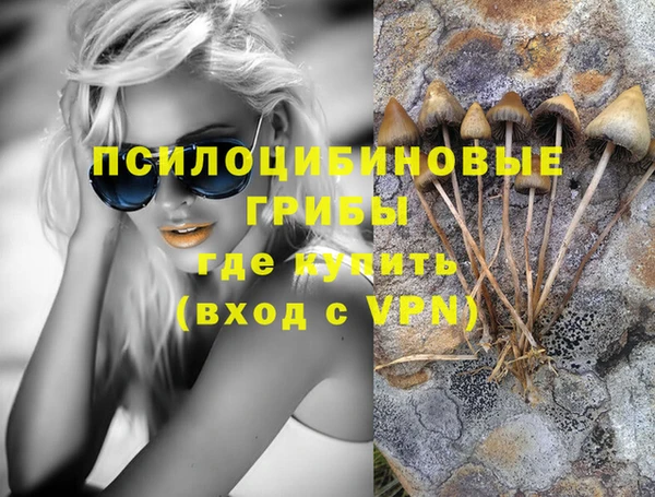 ПСИЛОЦИБИНОВЫЕ ГРИБЫ Балахна