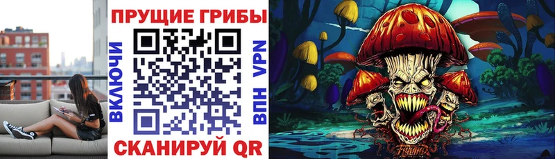 Купить  Костерёво  Псилоцибиновые грибы ЛСД 